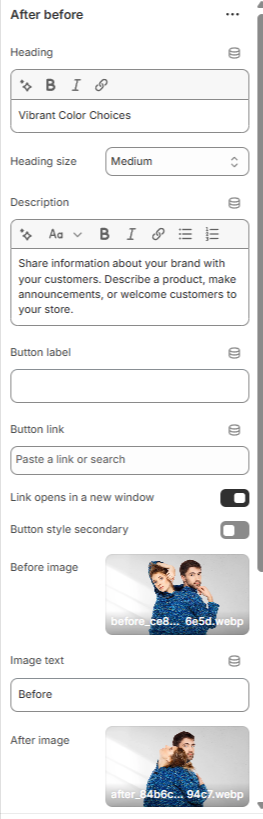 Shopify Theme Installation Screenshot