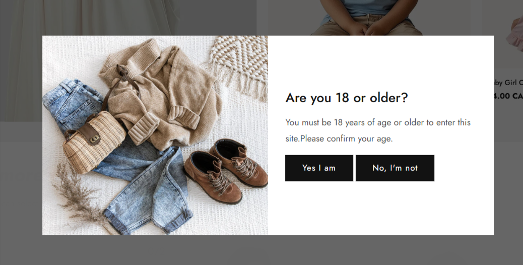Shopify Theme Installation Screenshot