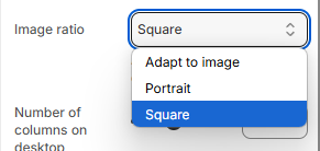 Shopify Theme Installation Screenshot