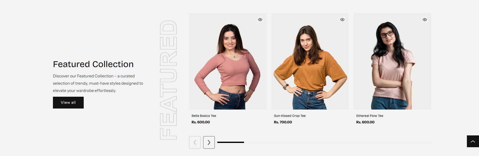 Shopify Theme Installation Screenshot