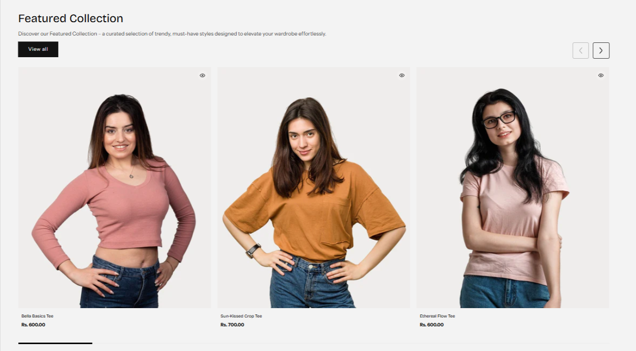 Shopify Theme Installation Screenshot