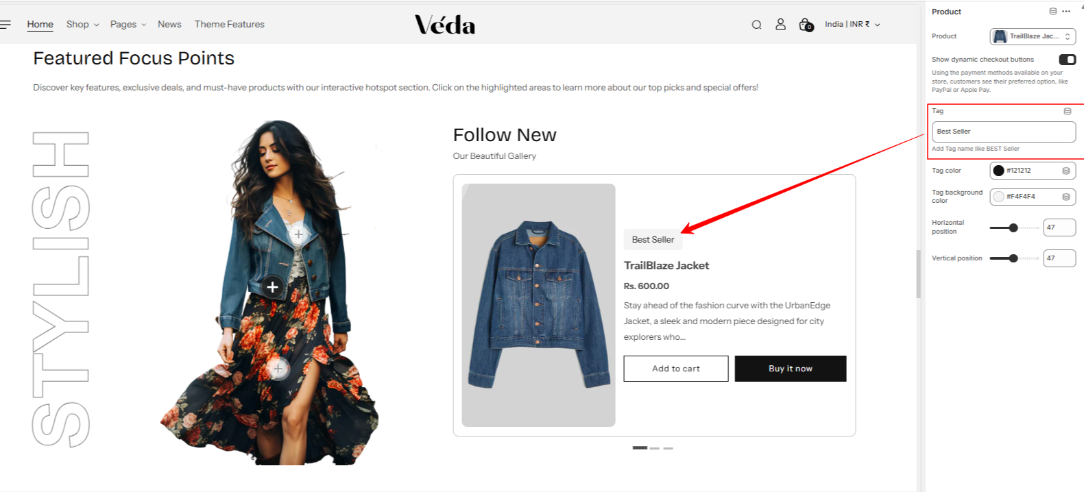 Shopify Theme Installation Screenshot