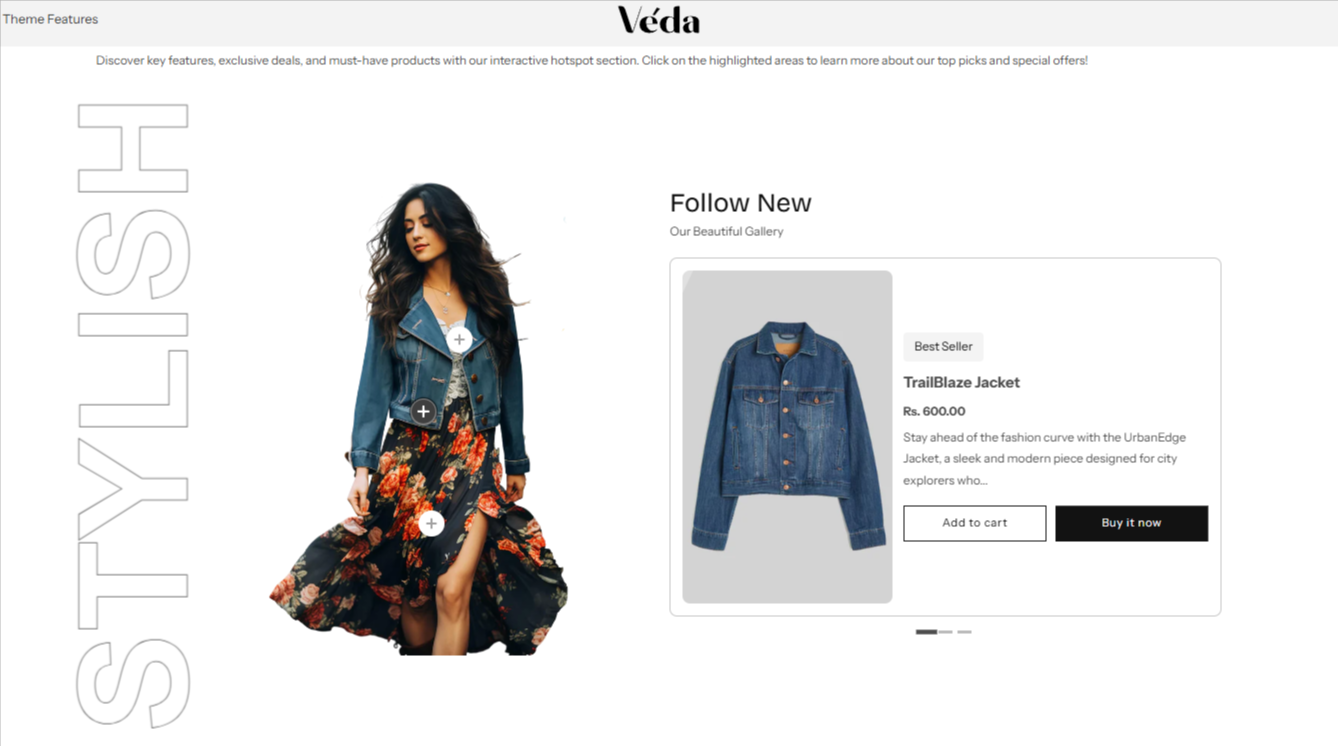 Shopify Theme Installation Screenshot