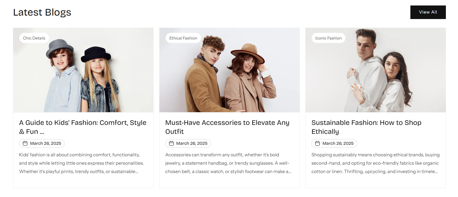 Shopify Theme Installation Screenshot