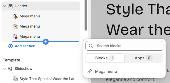 Shopify Theme Installation Screenshot