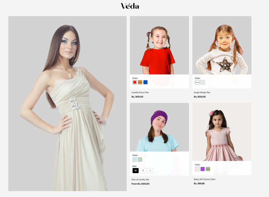 Shopify Theme Installation Screenshot