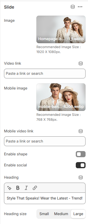 Shopify Theme Installation Screenshot
