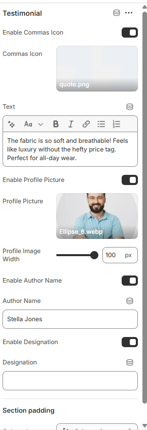 Shopify Theme Installation Screenshot